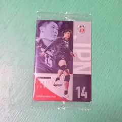 男子バレーボール ウエハース 石川祐希