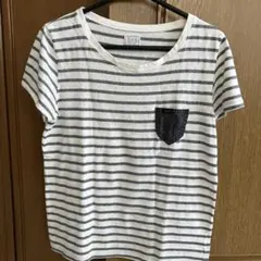 Lee ストライプ 半袖Tシャツ