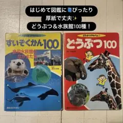 Item thumbnail for item 1c3c1cf2-1300-4e05-8ffe-1cdbf607fdb4