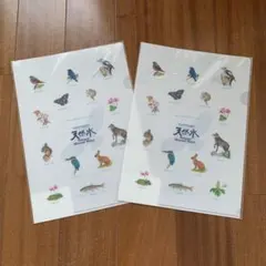 クリアファイル キャラクターグッズ