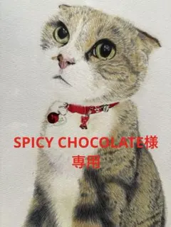 SPICY CHOCOLATE様 リクエスト 4点 まとめ商品