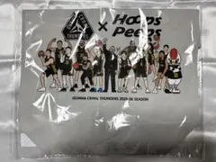 Item thumbnail for item f580859b-6db6-4218-8e03-76e96362a89b