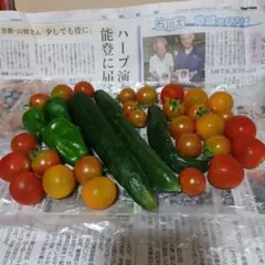 季節の野菜詰め合わせ きゅうり ピーマン ミニトマトのサムネイル