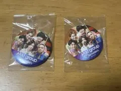 Aぇ! group Chameleon 缶バッジ 2個セット