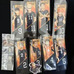 Item thumbnail for item 9f89500c-1a68-4bb7-8973-e48b23f76b70