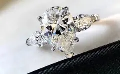 Item thumbnail for item 67940700-ee3f-49c3-8828-d17922059637