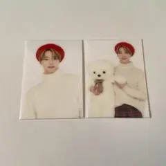 セブチカフェ2020 ディノ トレカ　ECトレカ　セット