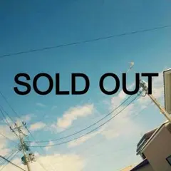 るう様専用 チャイハネ＊バッグ 送料込