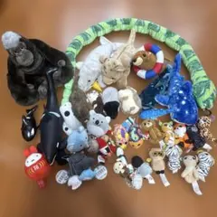 ペンギン ぬいぐるみ リアル まとめ売り セット 大量 コウペンちゃん