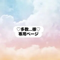 多数、、、様専用オーダーページ
