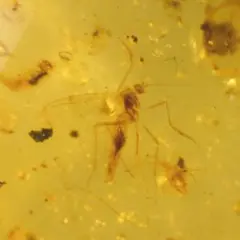 Taichung様 リクエスト 2点 まとめ商品