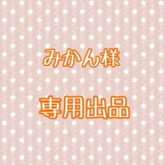 みかん様 専用出品