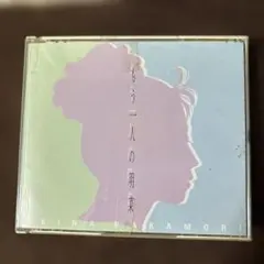 2026年最新】もう一人の明菜 中森明菜の人気アイテム - メルカリ