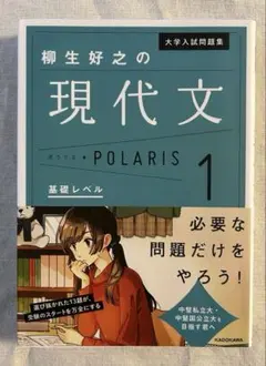 現代文ポラリス
