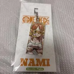 ONE PIECE DAY 2024 アクリルプレート ナミ