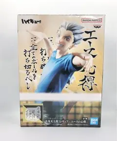 2025年最新】木兎光太郎の人気アイテム - メルカリ