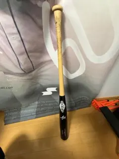 Item thumbnail for item 0d795a0e-3a7d-4311-a933-04662e3dbf94