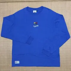 VISION STREET WEAR 刺繍入りロンT