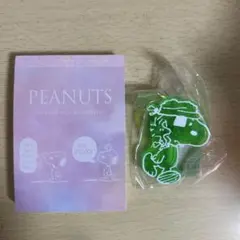 スヌーピーのミニメモ帳とミニダイカットクリップ