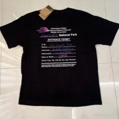 新品未使用 THE NORTHFACEバックプリント半袖Tシャツ 黒 2XL寸
