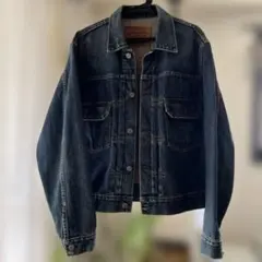 2026年最新】LEVIS 507の人気アイテム - メルカリ