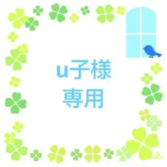 ★u子様 専用★