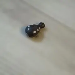 びっくらたまご　ポケモン　ドオー