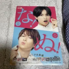 明治 ガルボ 下敷き SexyZone