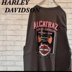 C様専用　15点　Harley-Davidson Tシャツ