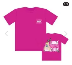 Item thumbnail for item ee70a451-2617-4510-800b-78763fce8636