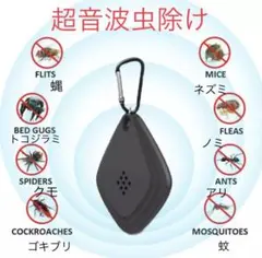 Item thumbnail for item cbb36d27-6ff7-4e37-ba49-cd404a9e6fc0