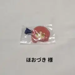 ほおづき 様　専用出品