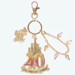 ひな様2点おまとめ専用！ ディズニー キーチェーン コンプリート 40周年 キーチェーン（ディズニー40周年グランドフィナーレグッズ