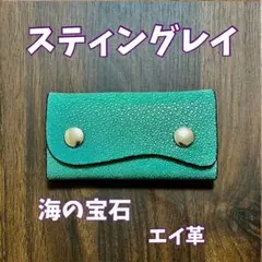 スティングレイ 丸型 コインケース ターコイズ エイ革 ガルーシャ 小物 