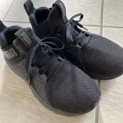 Item thumbnail for item bf6e341e-7659-4343-a020-a6e735e01593