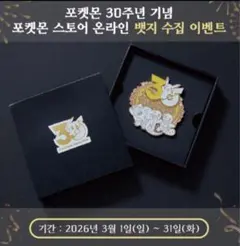 未開封 韓国限定 ポケモン 30周年記念 ピンバッチ 第1世代御三家ver