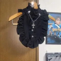 Item thumbnail for item 0b9b7c8e-fc22-4980-9325-3ccffc937561