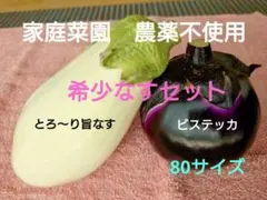 家庭菜園　農薬不使用！希少なすセット（80サイズ）のサムネイル