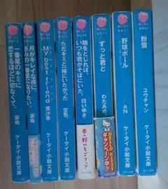 野いちご 恋愛ケータイ小説 12冊SET - メルカリ