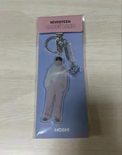 seventeen ホシ トレカ アクスタ まとめ売り SEVENTEEN セブチ ホシ HOSHI グッズ まとめ売り No．1 - メルカリ