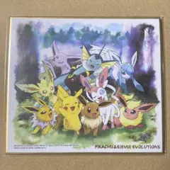 2025年最新】イーブイ 色紙の人気アイテム - メルカリ