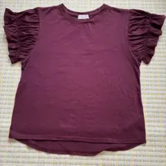 anyFAM フリル袖 カットソー ボルドー