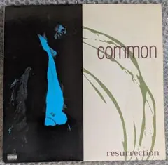 common resurrection レコード 送料込み