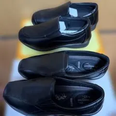 22.5 レディース　靴　高齢者　 biofiuer 新品　moonstar