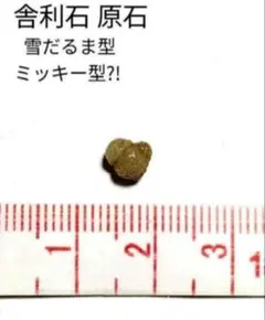 2026年最新】舎利母石の人気アイテム - メルカリ