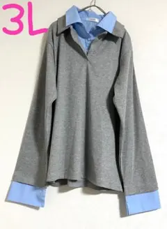【新品タグ付き　大きいサイズ】襟袖口シャツ切替リブカットソー　3L