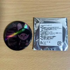 Stray Kids エコパ PLAYGROUND トゥエッキ 缶バッジ