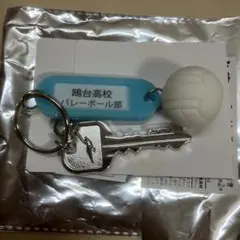 Item thumbnail for item 728ffadd-a997-4250-bc1c-c0d5861a5ee5