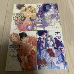 ホタルの嫁入り　全巻セット② 5〜8巻　説明文必読