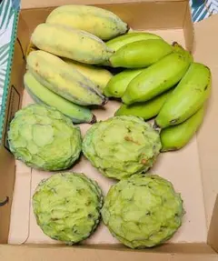 2026年最新】アップルバナナの人気アイテム - メルカリ